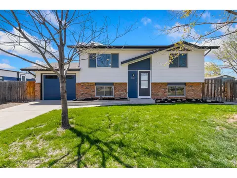 803 Table Mountain Ct, Windsor, CO 80550