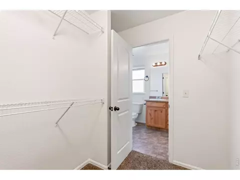 Other - 245 Pinebrook Ct, Windsor, CO 80550 photo 2 of 6