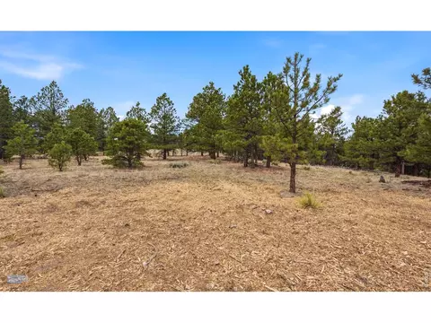 4394 Sunshine Canyon Dr, Boulder, CO 80302 photo 15