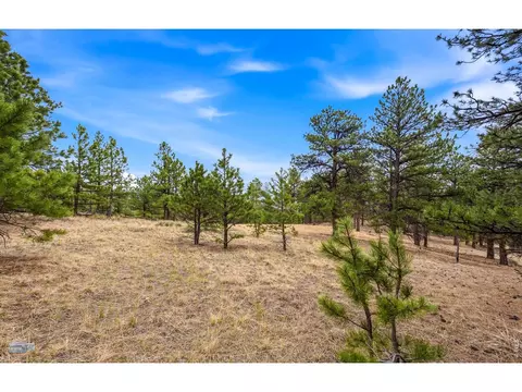 4394 Sunshine Canyon Dr, Boulder, CO 80302 photo 13