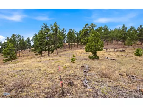 4394 Sunshine Canyon Dr, Boulder, CO 80302 photo 5