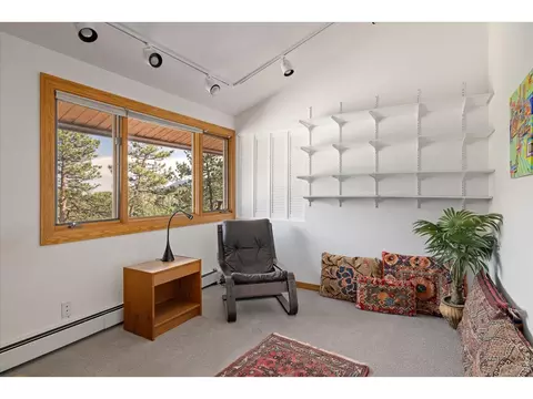 Other - 135 Poorman Rd, Boulder, CO 80302 photo 10 of 16