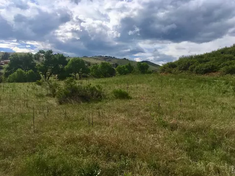 306 River Way, Lyons, CO 80540 photo 9