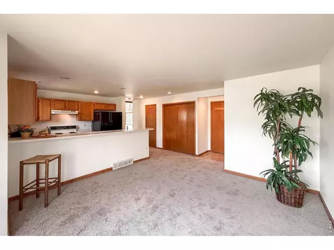Living - 202 Welch Dr, Lyons, CO 80540 photo 11 of 11