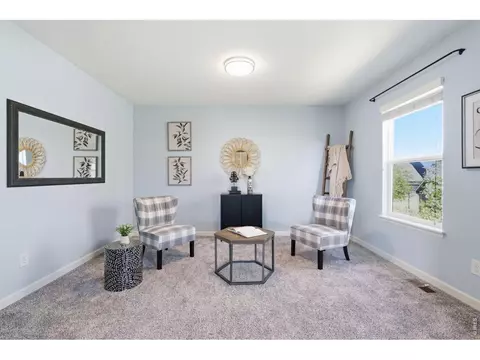 Other - 543 Botley Ct, Windsor, CO 80550 photo 4 of 7