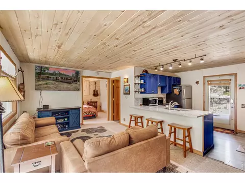 Living - 117 Aspen Dr, Lyons, CO 80540 photo 4 of 4