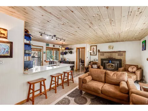 Living - 117 Aspen Dr, Lyons, CO 80540 photo 1 of 4