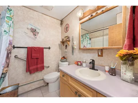 Bath - 50950 E 32nd Ave, Bennett, CO 80102 photo 3 of 5