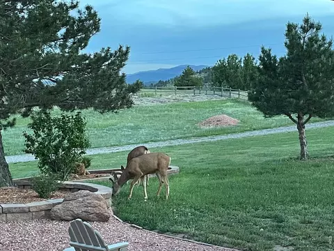 Exterior - 294 Wedge Rock Dr, Lyons, CO 80540 photo 2 of 5