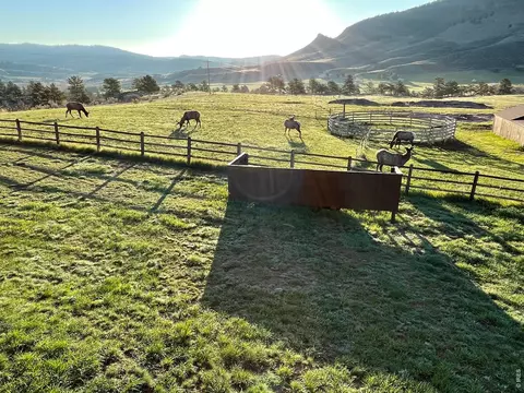 Other - 294 Wedge Rock Dr, Lyons, CO 80540 photo 1 of 5