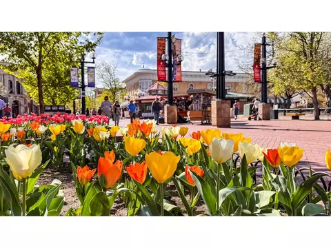 Other - 2125 11th St, Boulder, CO 80302 photo 11 of 13