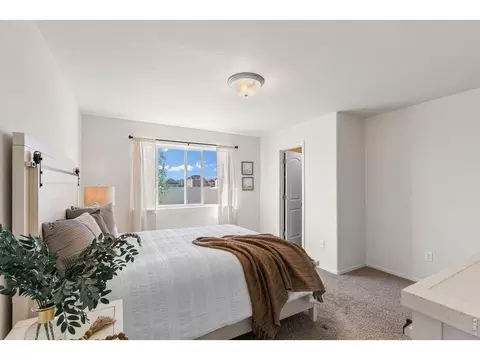 Bedroom - 1113 Tur St, Severance, CO 80550 photo 2 of 5