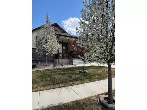 Exterior - 1210 Muskox St, Severance, CO 80550 photo 4 of 9