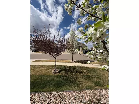 Exterior - 1210 Muskox St, Severance, CO 80550 photo 5 of 9