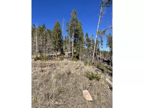 66 Piegan Ct, Red Feather Lakes, CO 80545