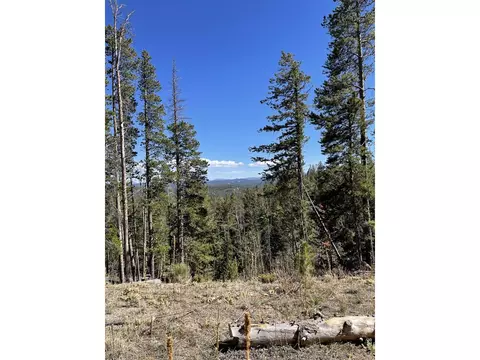 66 Piegan Ct, Red Feather Lakes, CO 80545