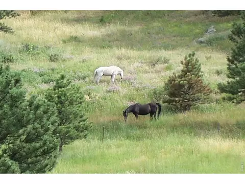 Other - 95 Rowell Dr, Lyons, CO 80540 photo 2 of 15