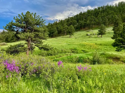 Other - 95 Rowell Dr, Lyons, CO 80540 photo 9 of 15