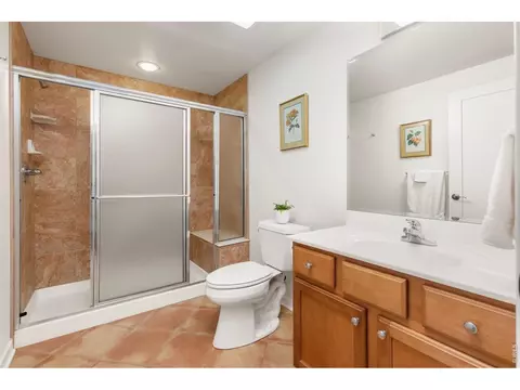 Bath - 95 Rowell Dr, Lyons, CO 80540 photo 5 of 5