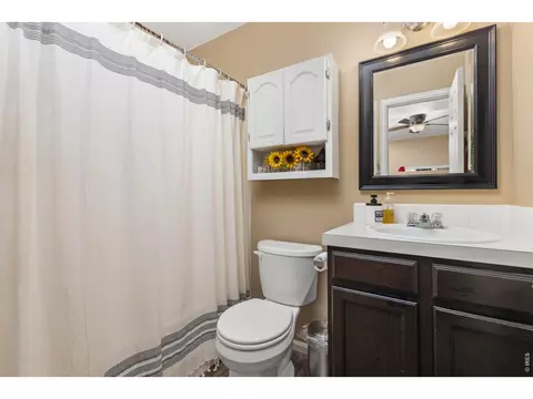 2703 Chesapeake Bay Bay, Evans, CO 80620 photo 15