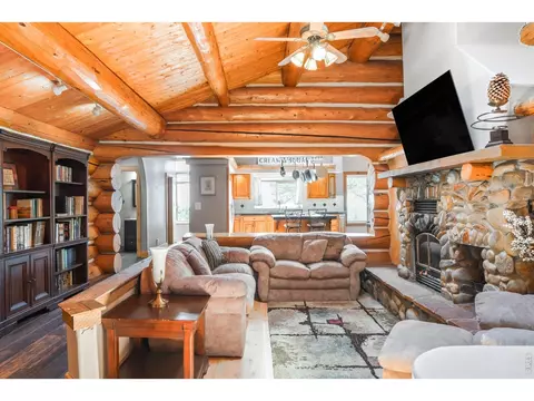 Living - 24043 Eagle Cliff Trl, Conifer, CO 80433 photo 2 of 5
