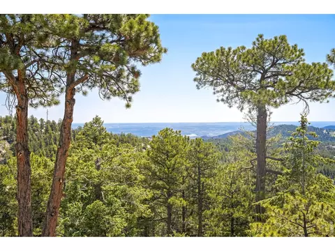 View/Area - 24043 Eagle Cliff Trl, Conifer, CO 80433 photo 1 of 6