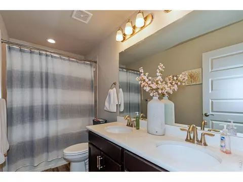 Bath - 1249 Wild Basin Rd, Windsor, CO 80550 photo 2 of 3