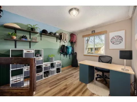 Other - 811 Table Mountain Ct, Windsor, CO 80550 photo 1 of 11