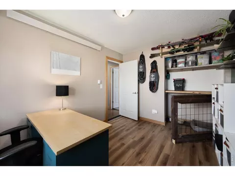 Other - 811 Table Mountain Ct, Windsor, CO 80550 photo 2 of 11