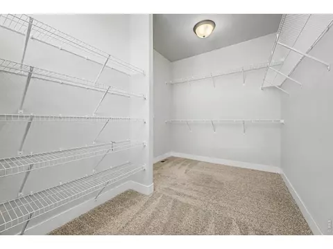 Other - 2069 Day Spring Dr, Windsor, CO 80550 photo 3 of 9