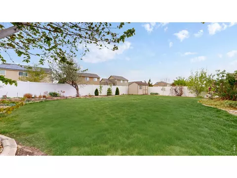 Exterior - 313 Telluride Dr, Windsor, CO 80550 photo 5 of 7