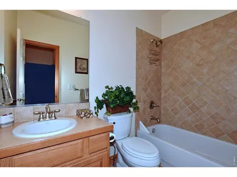 Bath - 1047 Canal Dr, Windsor, CO 80550 photo 4 of 7