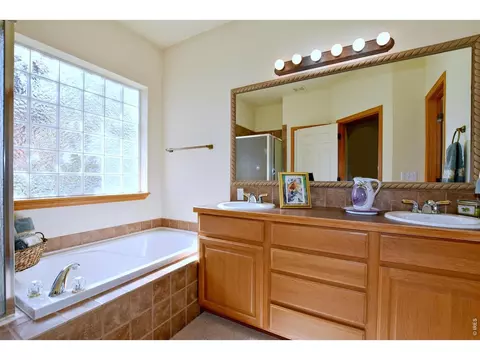 Bath - 1047 Canal Dr, Windsor, CO 80550 photo 1 of 7