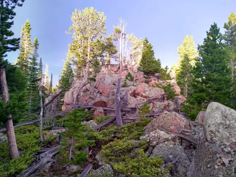 3765 Forest Road 195, Red Feather Lakes, CO 80545