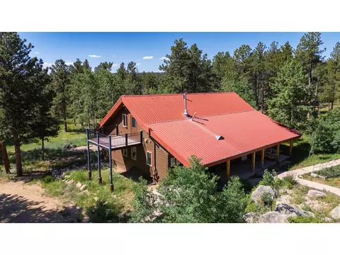 Exterior - 187 Lynx Dr, Ward, CO 80481 photo 4 of 11