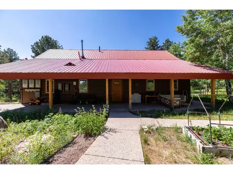 Exterior - 187 Lynx Dr, Ward, CO 80481 photo 7 of 11