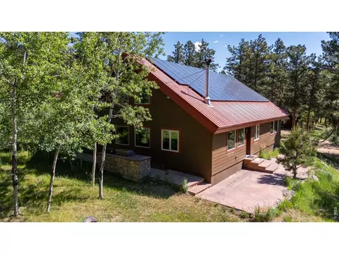 Exterior - 187 Lynx Dr, Ward, CO 80481 photo 5 of 11