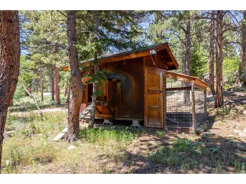 Exterior - 187 Lynx Dr, Ward, CO 80481 photo 10 of 11