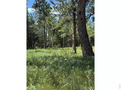 Exterior - 187 Lynx Dr, Ward, CO 80481 photo 6 of 11