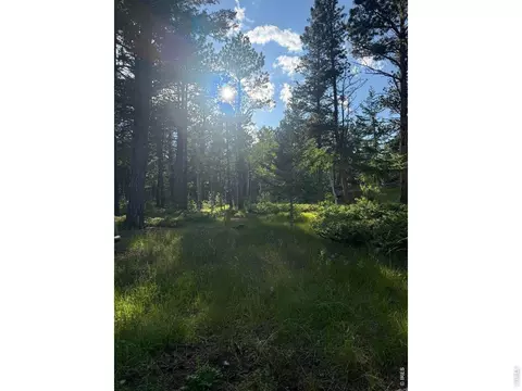 Exterior - 187 Lynx Dr, Ward, CO 80481 photo 9 of 11
