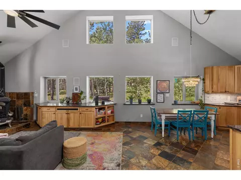 Other - 187 Lynx Dr, Ward, CO 80481 photo 2 of 15