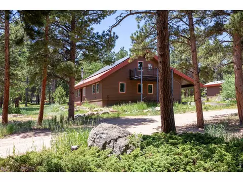 Exterior - 187 Lynx Dr, Ward, CO 80481 photo 3 of 11