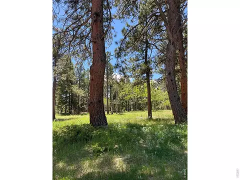 Exterior - 187 Lynx Dr, Ward, CO 80481 photo 8 of 11