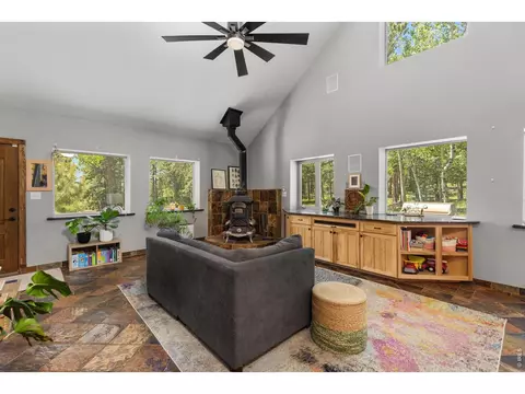 Living - 187 Lynx Dr, Ward, CO 80481 photo 1 of 2