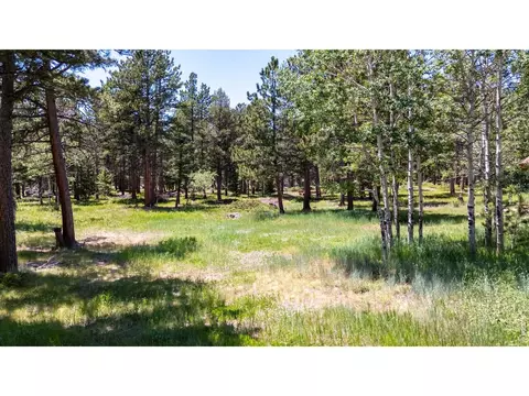 Exterior - 187 Lynx Dr, Ward, CO 80481 photo 2 of 11