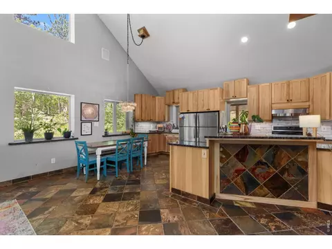 Other - 187 Lynx Dr, Ward, CO 80481 photo 4 of 15