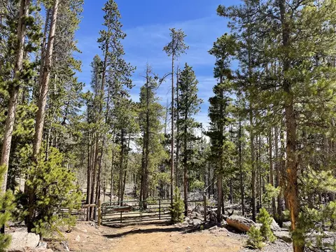 1374 Jicarilla Trl, Red Feather Lakes, CO 80545