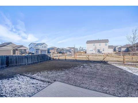 Exterior - 1690 Whiteley Dr, Windsor, CO 80550 photo 6 of 7