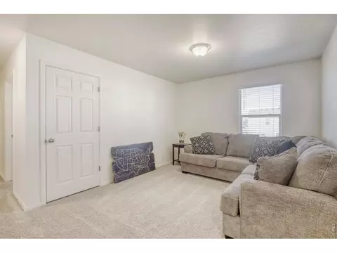 Other - 1690 Whiteley Dr, Windsor, CO 80550 photo 2 of 3