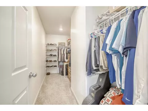 Other - 1690 Whiteley Dr, Windsor, CO 80550 photo 1 of 3